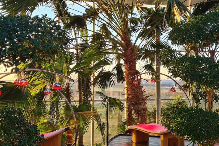 Bucharest: Transfer to Therme+Full EntryTicket 12h