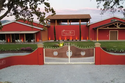Visite et dégustation de vins au cœur du Doc Bolgheri