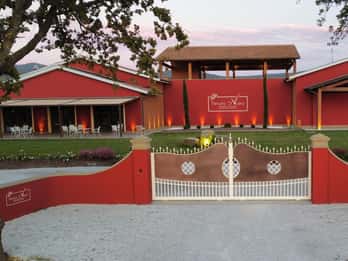 The Selections: visit and tasting in the Bolgheri Doc region