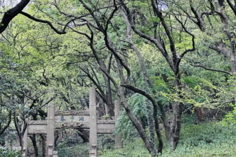 Shanghai: Huishan Ancient Town & Tai Lake Private Day Trip