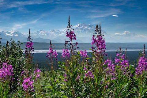 From Fairbanks: Denali Rafting & Zipline Adventure Day Trip