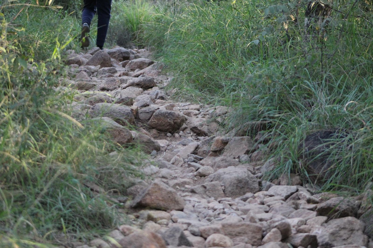 Gaborone: City Tour with Game Drive and Tswana Cuisine