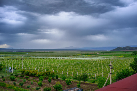 Yerevan: Wine Tasting and Vineyard Lunch at Voskeni Winery
