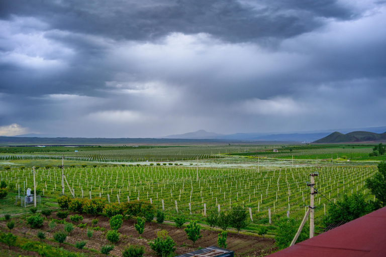 Yerevan: Wine Tasting and Vineyard Lunch at Voskeni Winery
