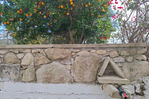 Die Tagestour zur Weinlese in Chania