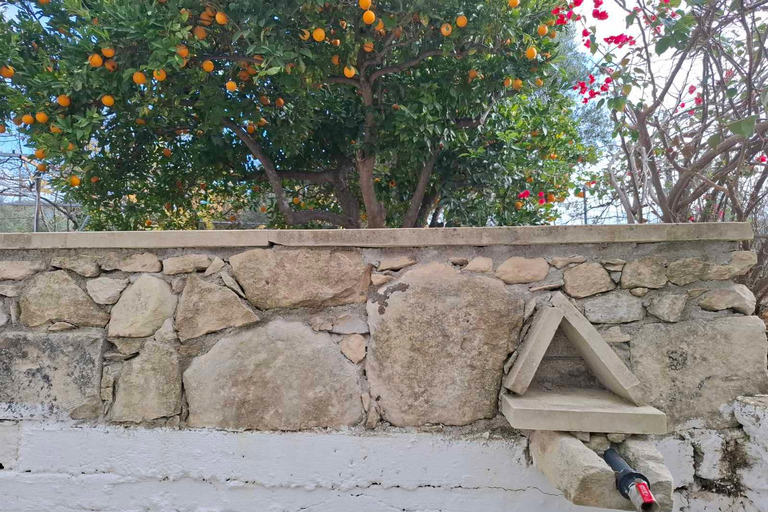 Die Tagestour zur Weinlese in Chania