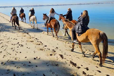 Paardrijden op het strand - PDTPaardrijden op het strand in groep