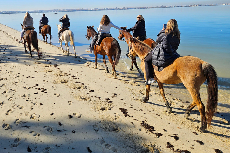 Paardrijden op het strand - PDTPaardrijden op het strand in groep