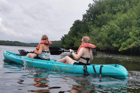 Réserve du sanctuaire des singes et kayak à Bahia Jiquilisco