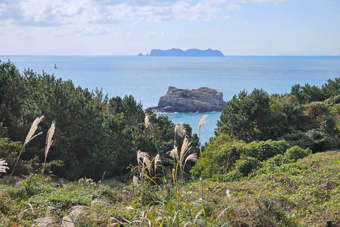 Depuis Séoul : Tour cycliste de Tongyeong à Geoje