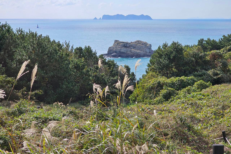 Depuis Séoul : Tour cycliste de Tongyeong à Geoje