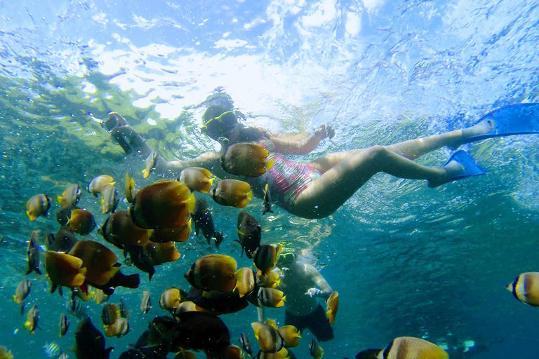 Nusa Penida: Snorkling båttur med Manta Rays