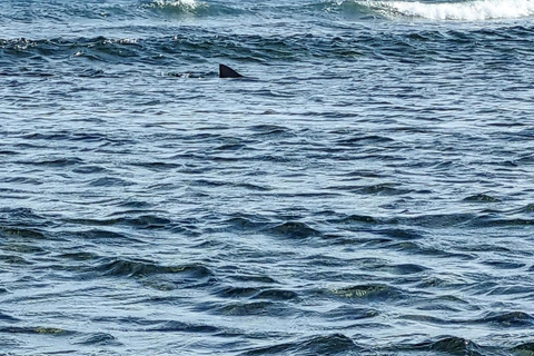 Boa Vista: Snorkeling w zatoce Gatas i wycieczka na północny wschód