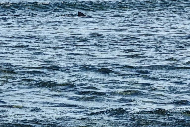 Boa Vista: Snorkeling w zatoce Gatas i wycieczka na północny wschód