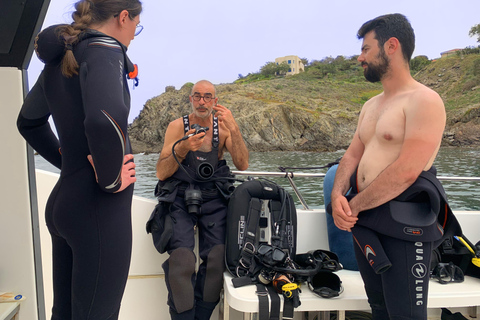 Argelès-sur-Mer: första dyket i den marina naturparken