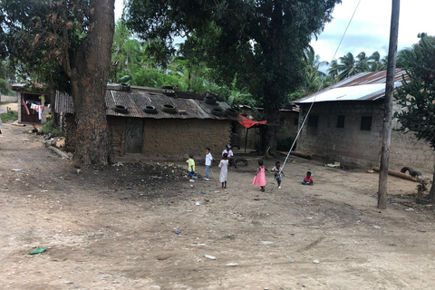 Zanzibar : visite de l'île-prison, de Stone Town et de la ferme aux épicesVisite privée : Île-prison, Stone Town et ferme d'épices