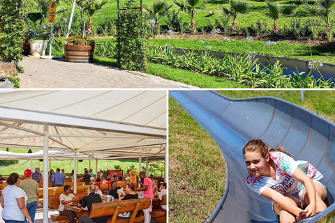 Kaapstad: Cool Running/Toboggan Adventure en ophaalservice vanaf je hotelKaapstad: Cool Running/Toboggan-avontuur en ophaalservice vanaf je hotel