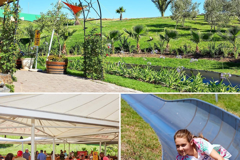 Kaapstad: Cool Running/Toboggan Adventure en ophaalservice vanaf je hotelKaapstad: Cool Running/Toboggan-avontuur en ophaalservice vanaf je hotel