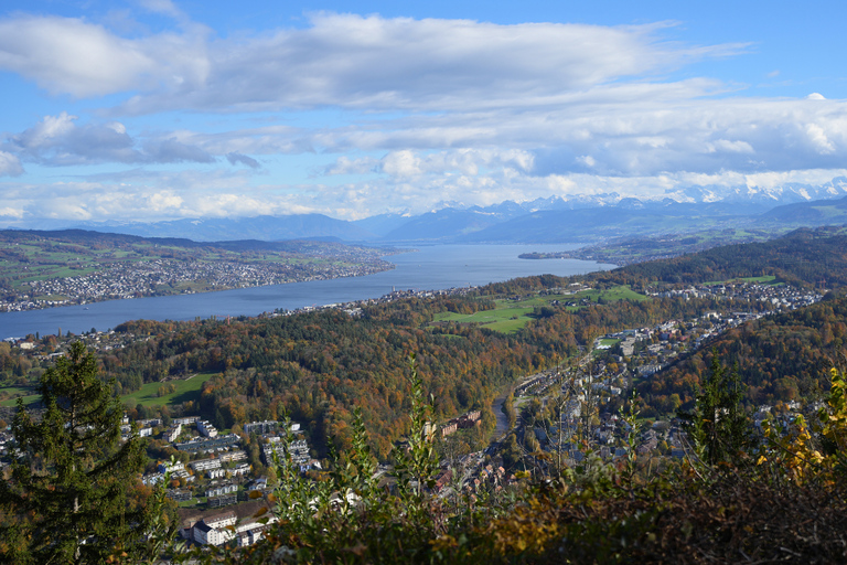 Zurich : visite citadine privée avec photos et trajet en téléphérique