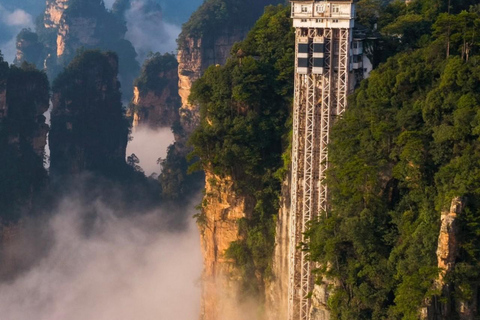 Vertical Heights: A 2-Day Private Discovery of Zhangjiajie