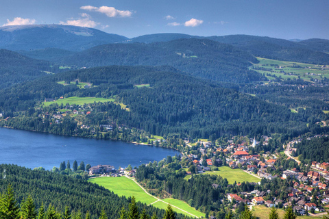 Zürich : Visite privée en voiture - Chutes du Rhin, Titisee et Forêt-Noire