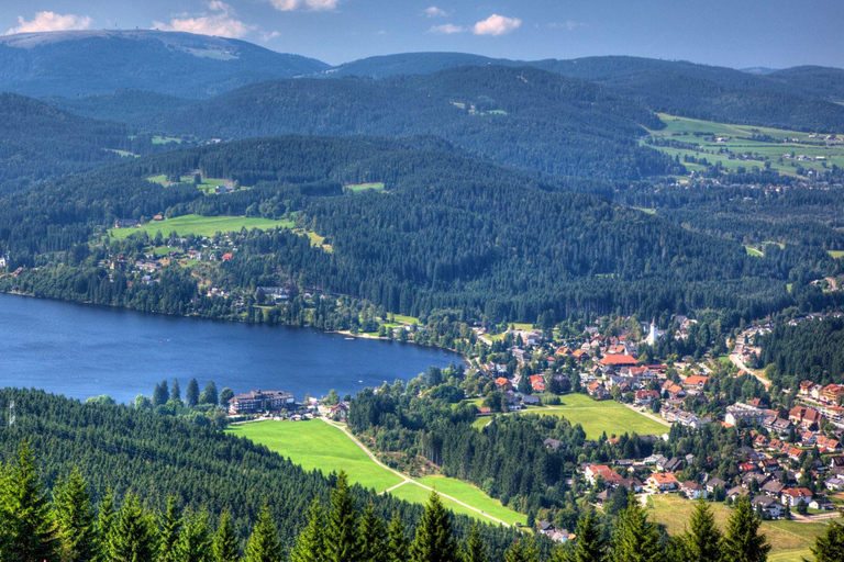 Zurych: prywatna wycieczka samochodowa - wodospady Renu, Titisee i Schwarzwald