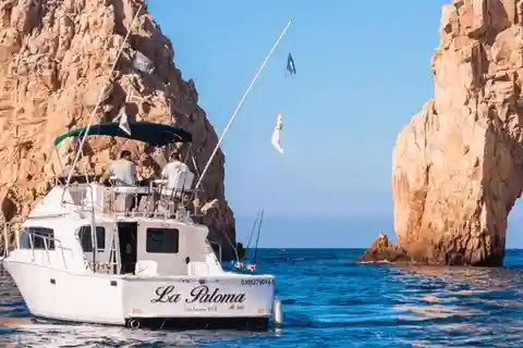 Cabo San Lucas: 33' Bertram "La Paloma" Fishing Charter