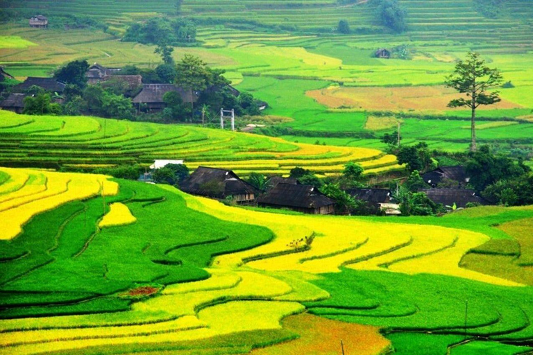 From Hanoi: Visit Sapa 3 Days & See The Terraced Fields Group Tour With A 4-Star Hotel