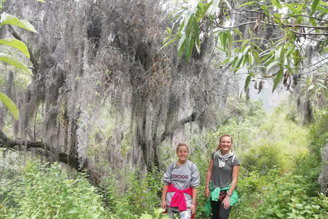 CHEMIN ANCESTRAL DU CONDOR - ÉCOTOURISME ET EXPÉRIENCE VÉCUE