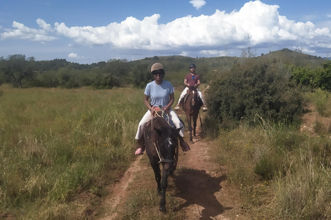 Odkryj wnętrze Walencji na koniu