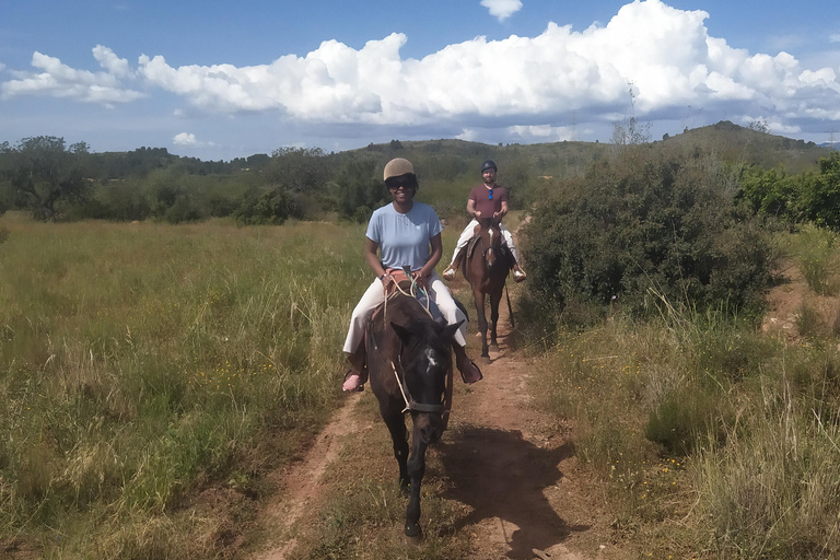 Odkryj wnętrze Walencji na koniu