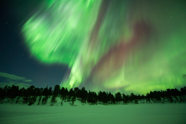 Kiruna: Sami-Inspired BBQ Dinner with Northern Lights Chase