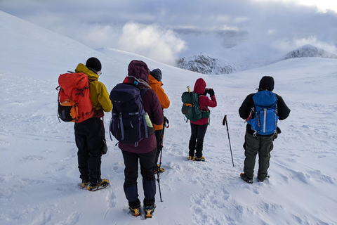 Cairngorms: aventura guiada de senderismo invernal