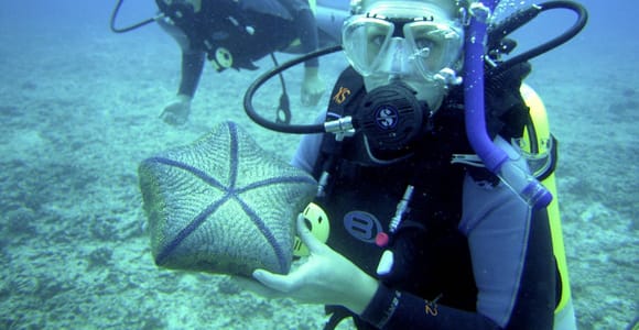 Marmaris: Beginner-Friendly Scuba Diving Tour & Lunch