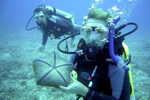 Marmaris: Beginner-Friendly Scuba Diving Tour & Lunch Scuba Diving With Hotel Transfer