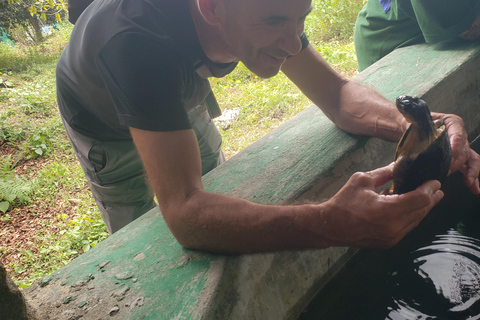 Zanzibar: całodniowa wycieczka do lasu JozaniWycieczka prywatna bez odbioru z hotelu i transportu powrotnego