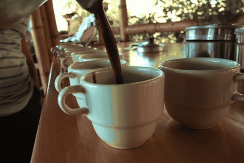 Minca: Coffee Farm, Jungle Hike & Chocolate Workshop Minca: Full Day Minca Tour with Jungle Joe