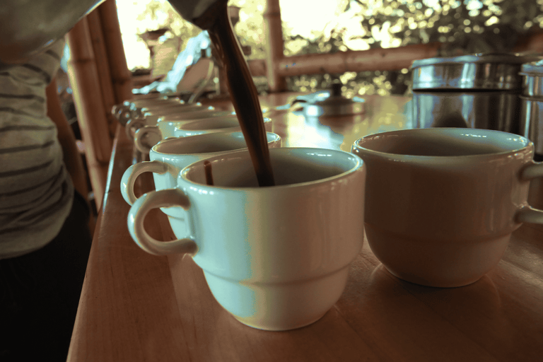 Minca: Coffee Farm, Jungle Hike & Chocolate Workshop Minca: Full Day Minca Tour with Jungle Joe