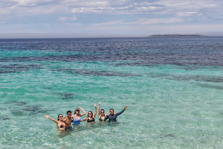 Sydney: Jervis Bay & South Coast Small Group Sydney: Jervis Bay & South Coast Small Group Wild Kangaroos