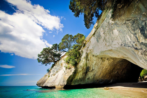 Från Auckland: Cathedral Cove &amp; Hot Water Beach Tour