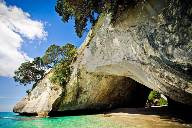 Från Auckland: Cathedral Cove &amp; Hot Water Beach Tour