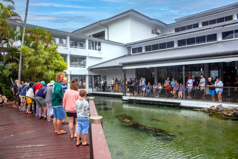 Airlie Beach: Daydream Island Sailing Trip with Snorkeling