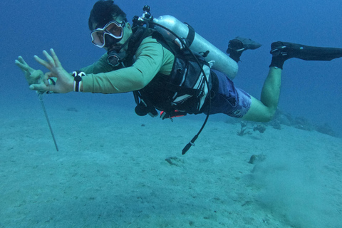 Aqaba: Scuba Diving Experience with Transfers