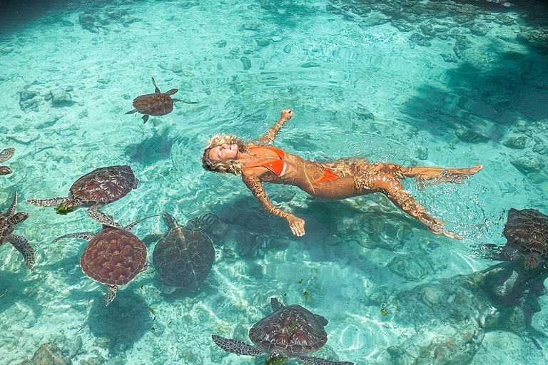 Zanzibar : Circuit à la nage avec les tortues