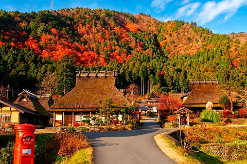 Osaka: Amanohashidate, Ine Cruise & Miyama Village From Osaka (Basic Package)