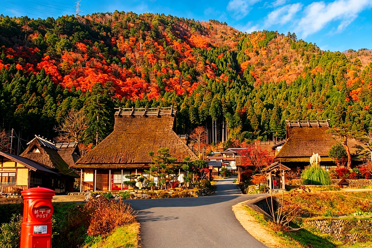 Osaka: Amanohashidate, Ine Cruise & Miyama Village From Osaka (Basic Package)