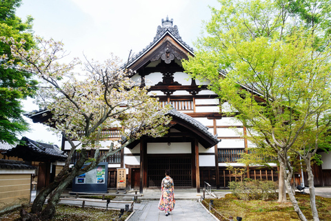 Tokyo: Private Walking Tour with Photographer