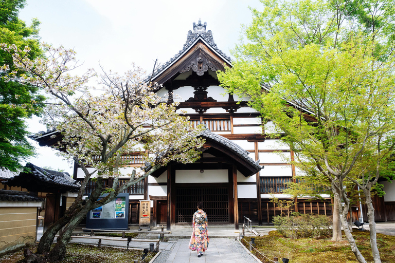 Tokyo: Private Walking Tour with Photographer