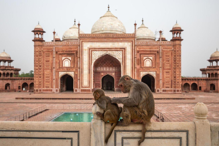 Delhi to Taj Mahal: Private Day Trip with 5-Star Lunch From Delhi: Tour with Car, Driver, and Guide Only