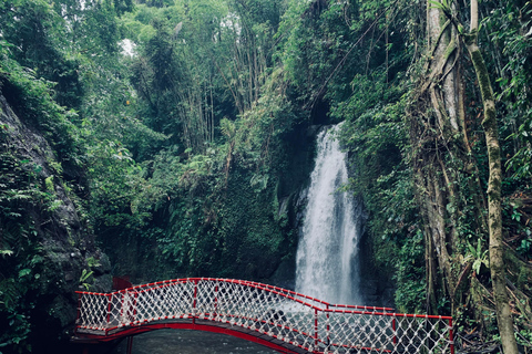 Ubud : Sacred Monkey Forest, Waterfall, Temple & Swing Tour Full-Day Tour Without Entry Fees